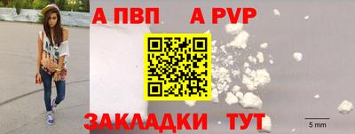 гашик Тверь